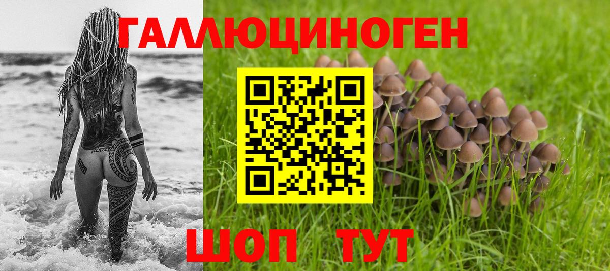 Дзержинский  купить наркотики цена  Вход с VPN  Галлюциногенные грибы MAGIC MUSHROOMS 